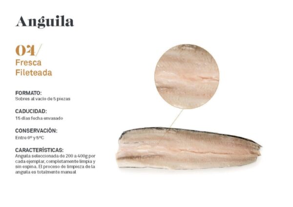 Anguila Fresca Fileteada