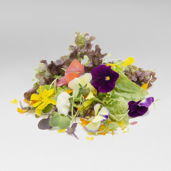 Ensalada Murta