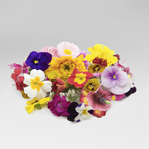 Mezclum Flores