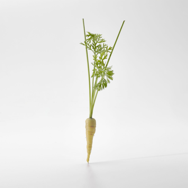 Micro Zanahoria Blanca