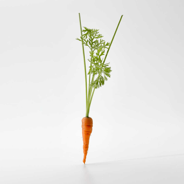 Micro Zanahoria Naranja