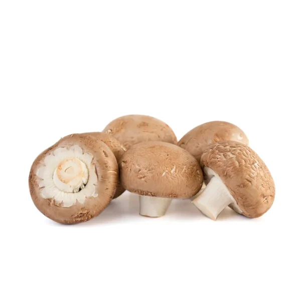Champiñón portobello extra en 1 capa