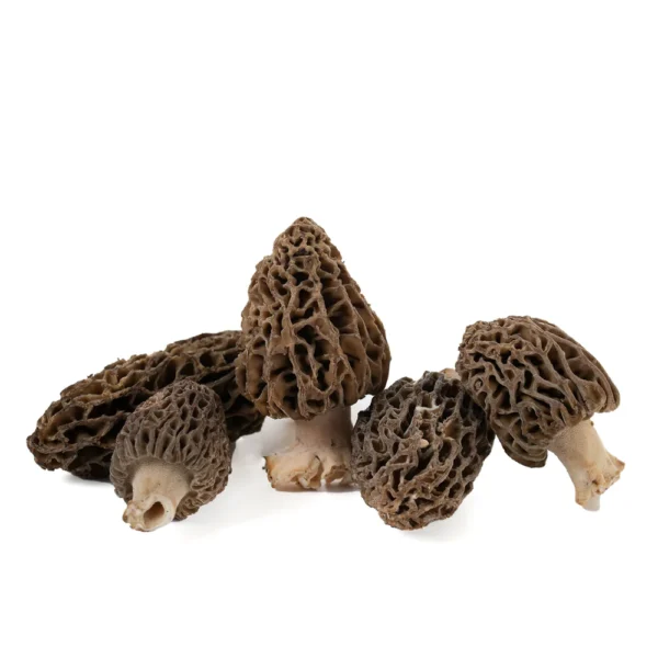 Colmenilla (Morchella Deliciosa)