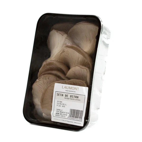 Gírgola - Seta cultivada extra Bandeja 300g
