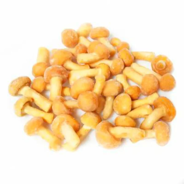 Nameko congelado