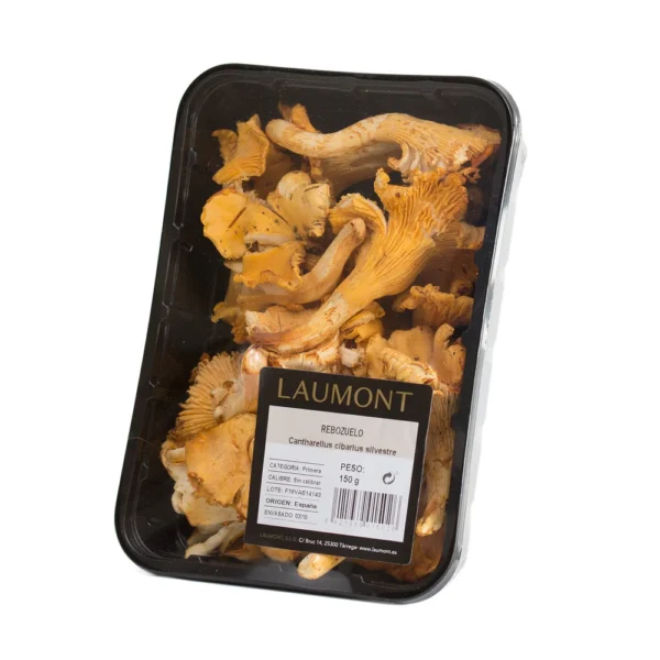 Rebozuelo silvestre nacional Bandeja 150g