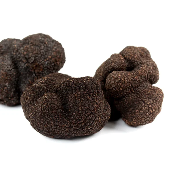 Trufa Negra