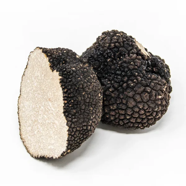 Trufa de Verano